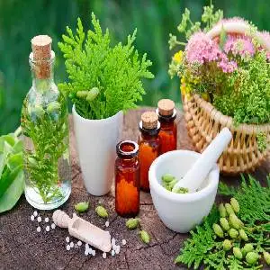 Homeopathy treatment with natural remedies for holistic healthcare