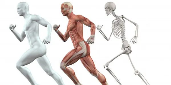 Musculoskeletal Disorders