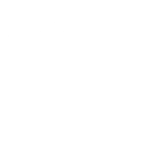 Musculoskeletal